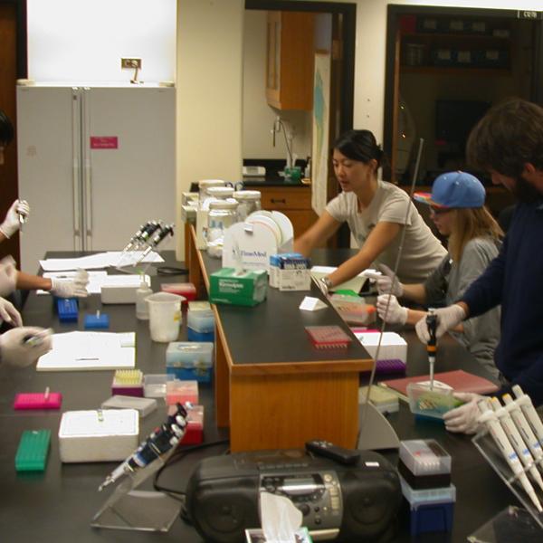 Group PCR lesson! Fall 2015
