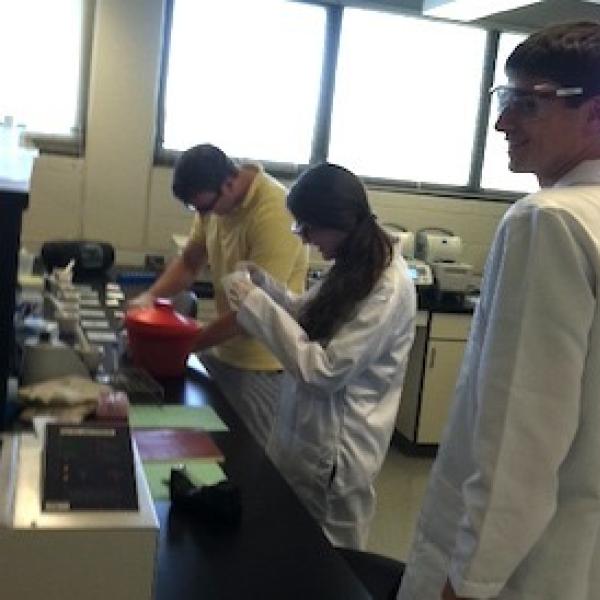 dnaextraction