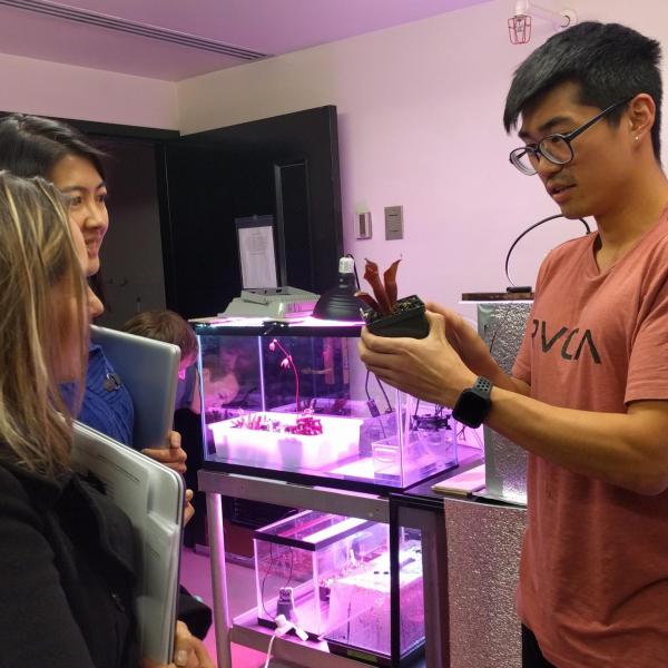 Tour of Sukuan's carnivorous plant collection