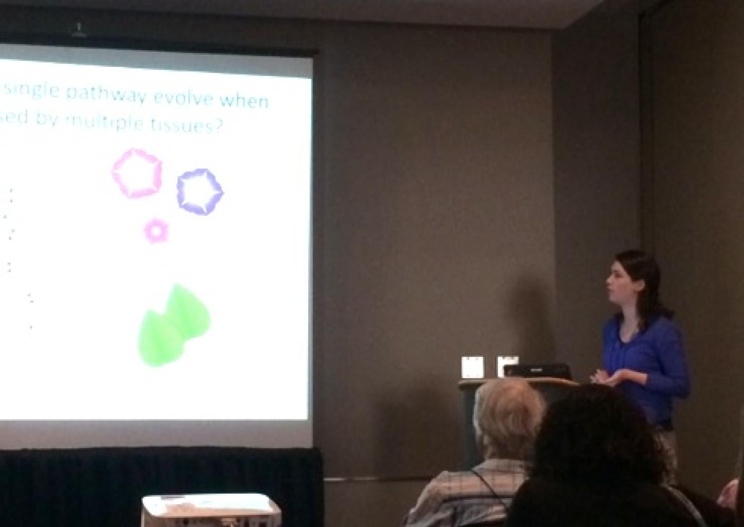 Berardi at Botany 2015