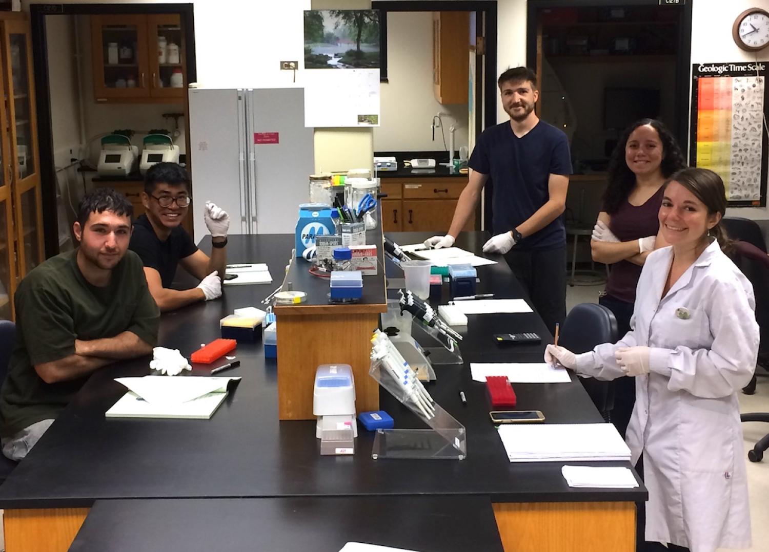 Starting the lab work