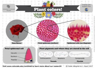 plantcolors