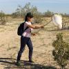 Julienne netting pollinators