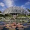 Missouri Botanical Gardens
