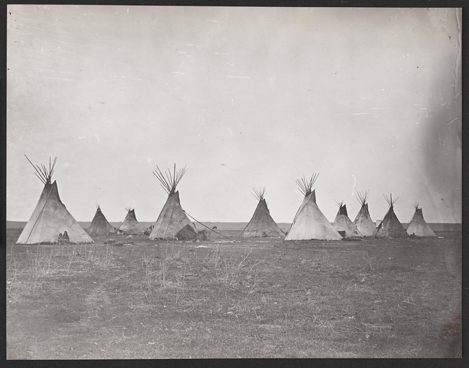Lodges