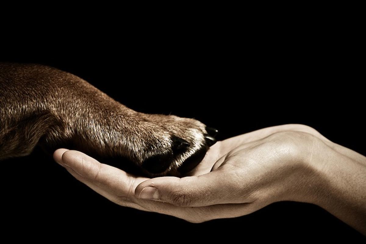 Animals and Society