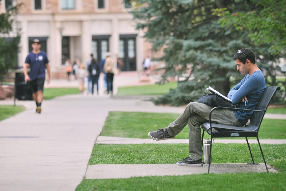 Student studying on bench
