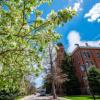 campus