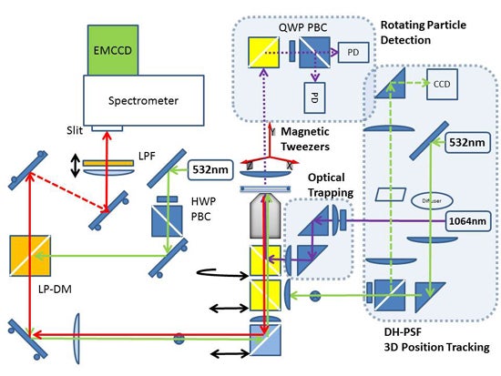 Micro-Raman setup