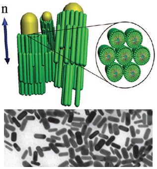 Nanorods