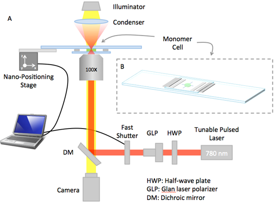 Two-photon polymerization