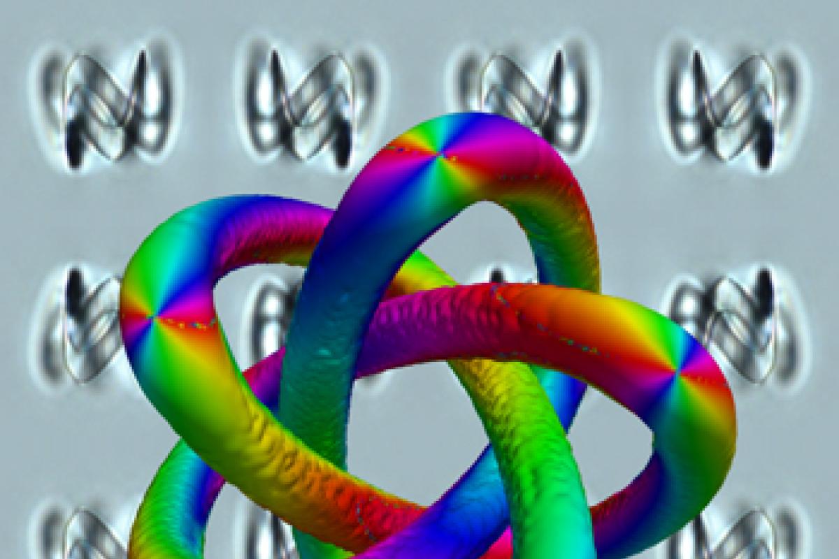 Knotted fields