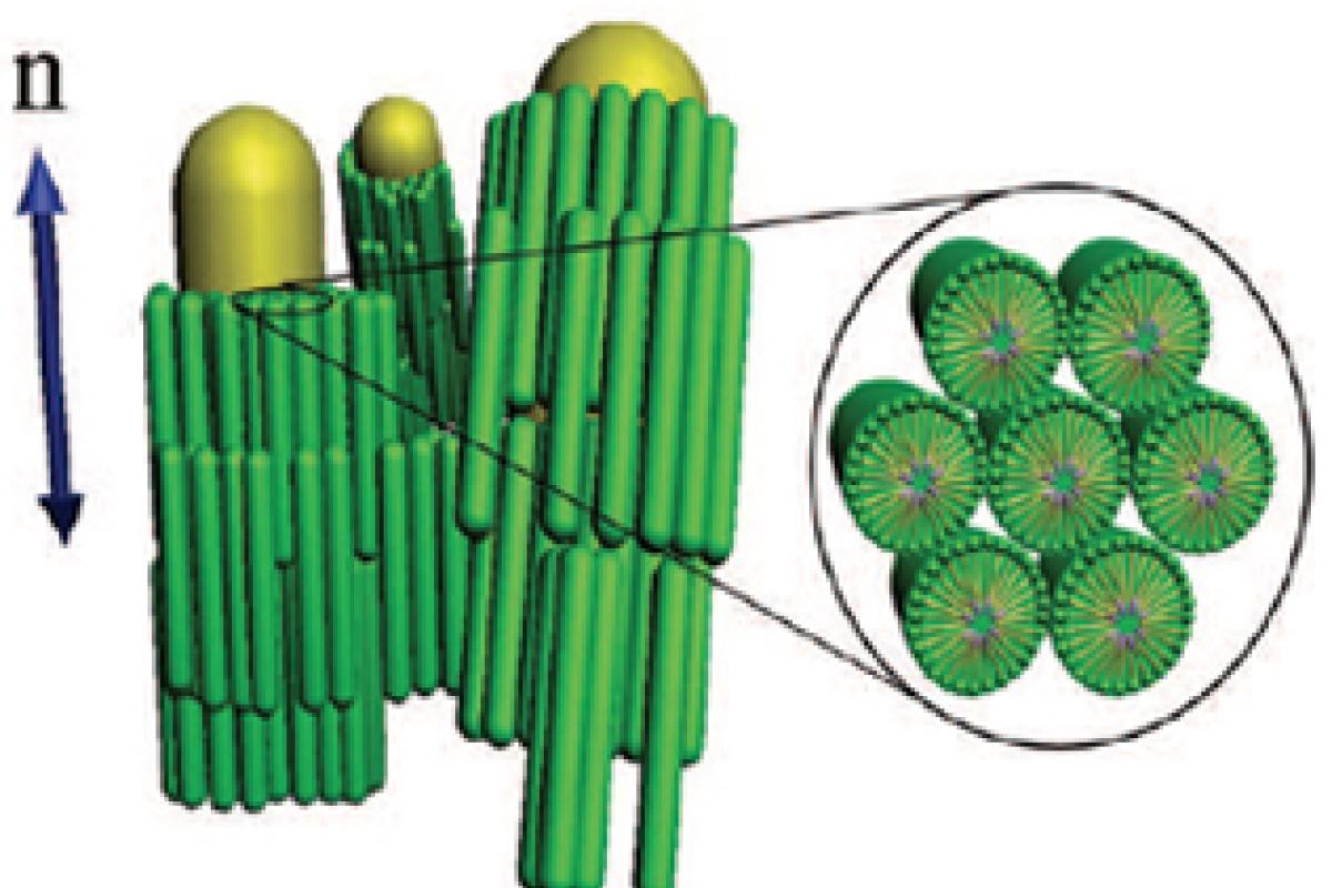 Nanorods