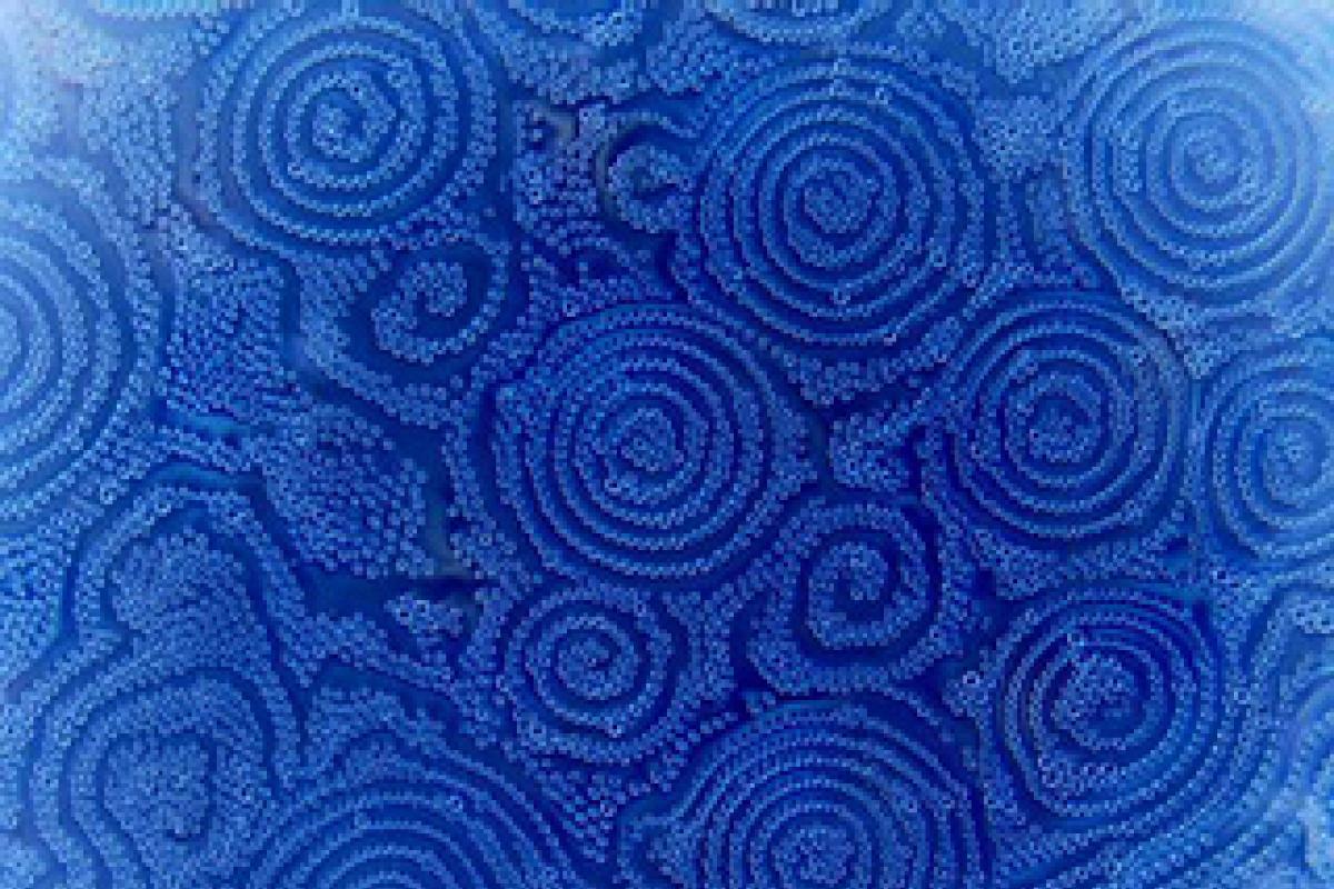 Soft matter