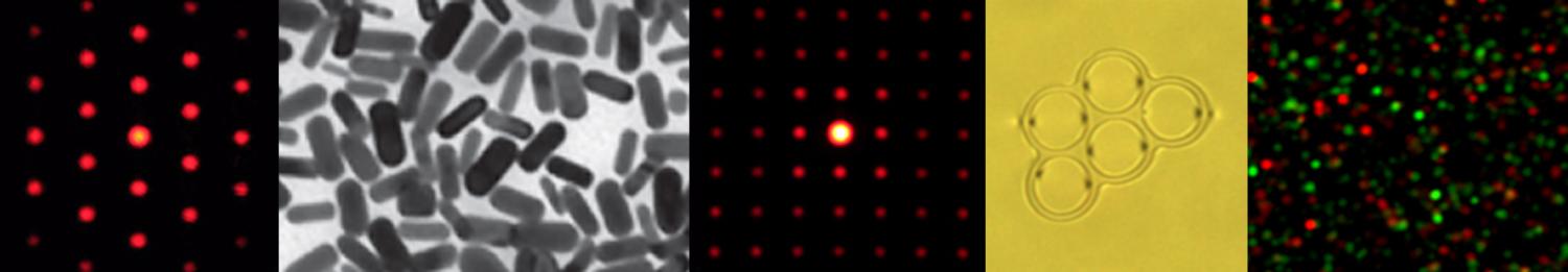 Gold nanoparticles and diffraction patterns from defects arrays in cholesteric