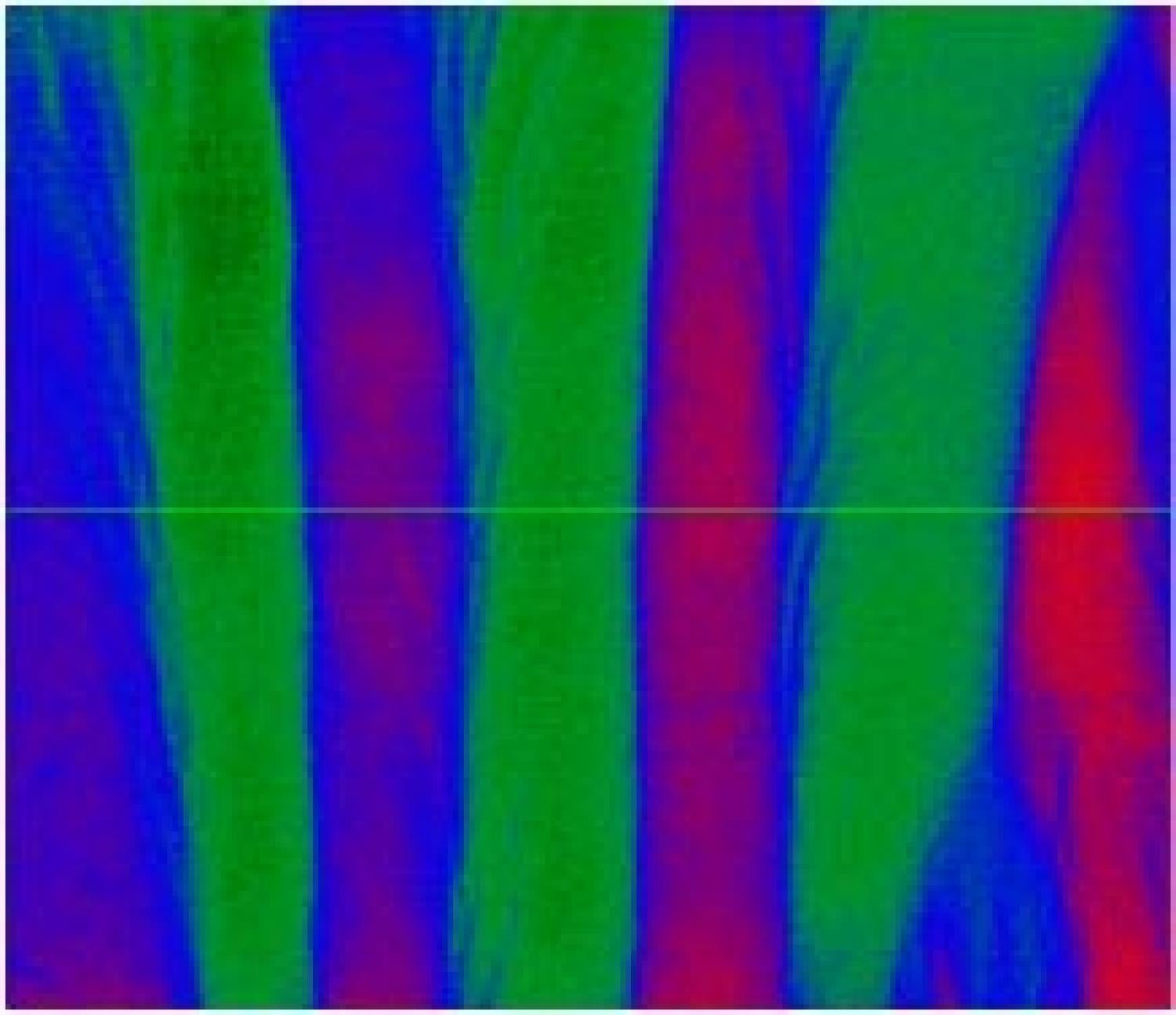DNA texture