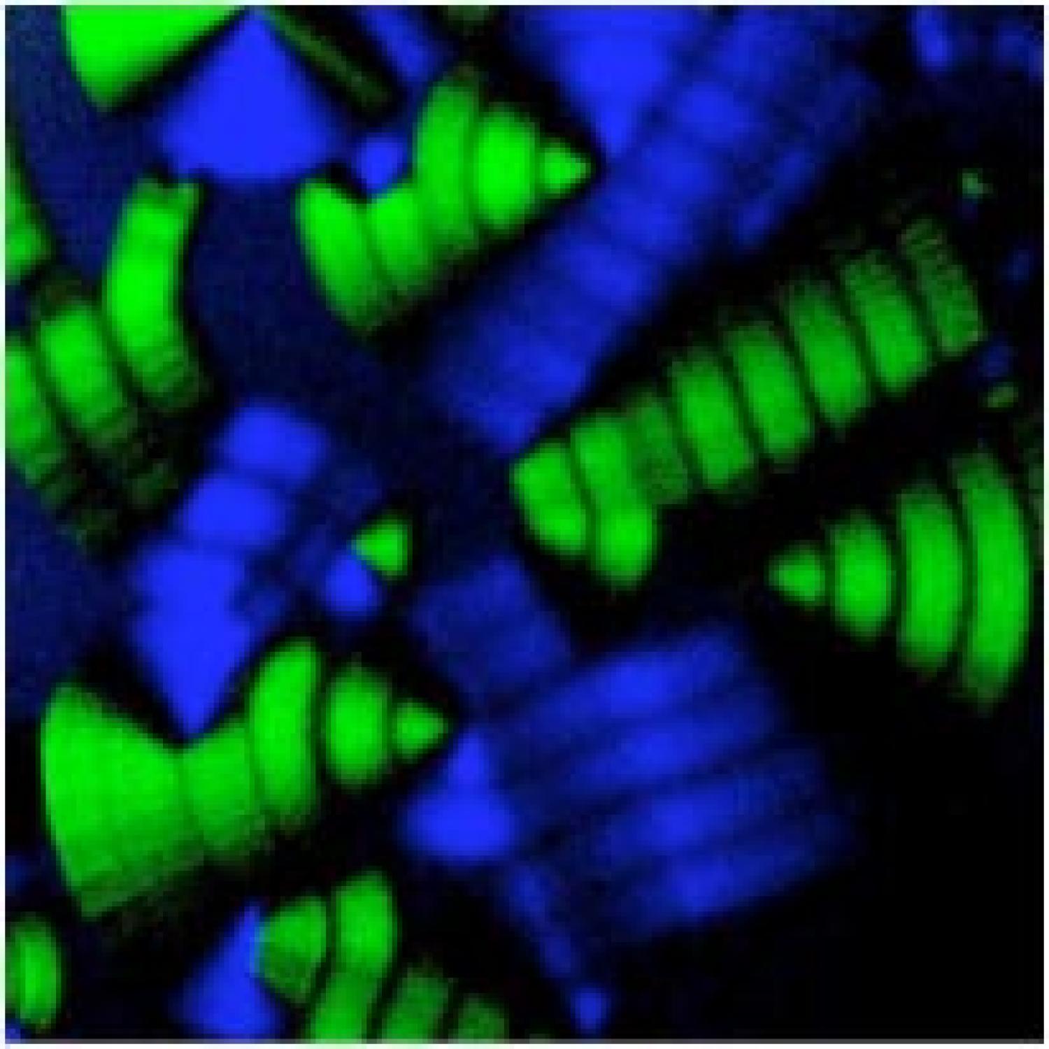 FCPM image