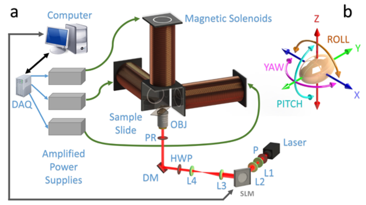 Magnetic manipulations
