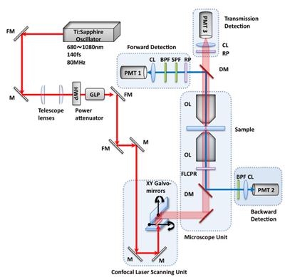Nonlinear microscope