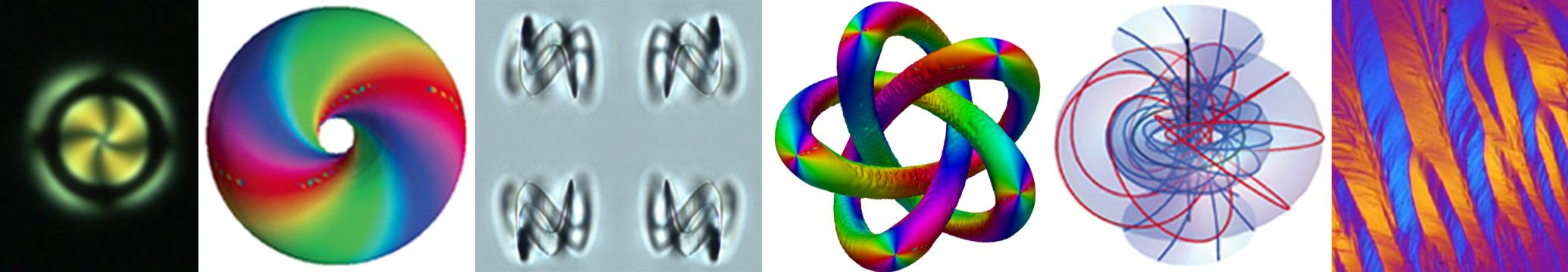 Handlebody and knotted colloids in nematic, cholesteric torons and DNA liquid crystal