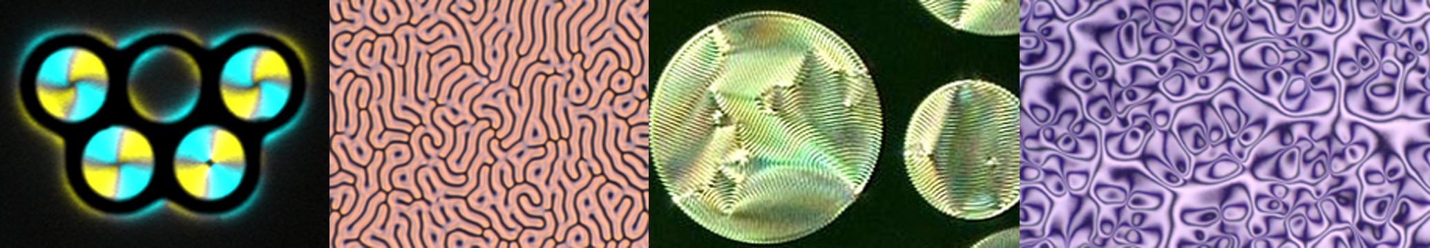 Fluorescence image of a handlebody in a nematic, cholesteric fingers and droplets and Schlieren texture in a nematic thin film