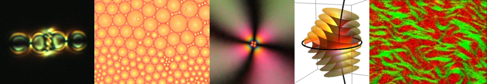Arrangement of colloids and a defect of integer strength in nematics, a focal conic domain in smectics and a fluorescence image of a DNA liquid crystal