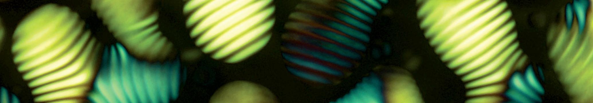 Cellulose cholesteric liquid crystal