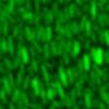 Science 2018 Hybrid molecular-colloidal liquid crystals