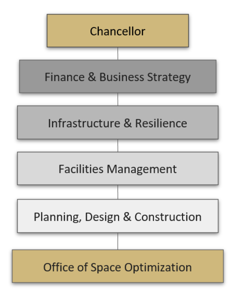 Space Optimization reporting structure