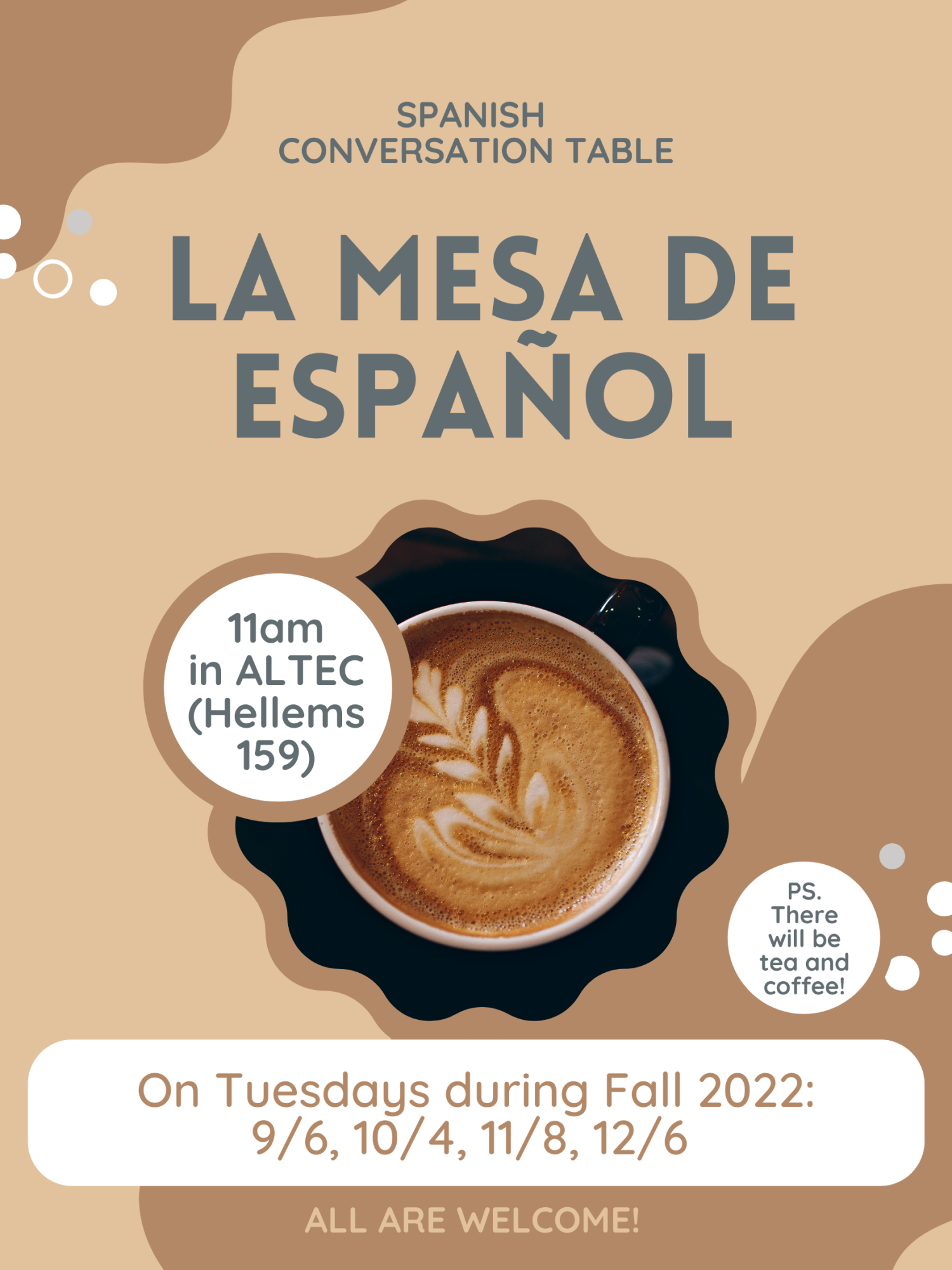 mesa flyer