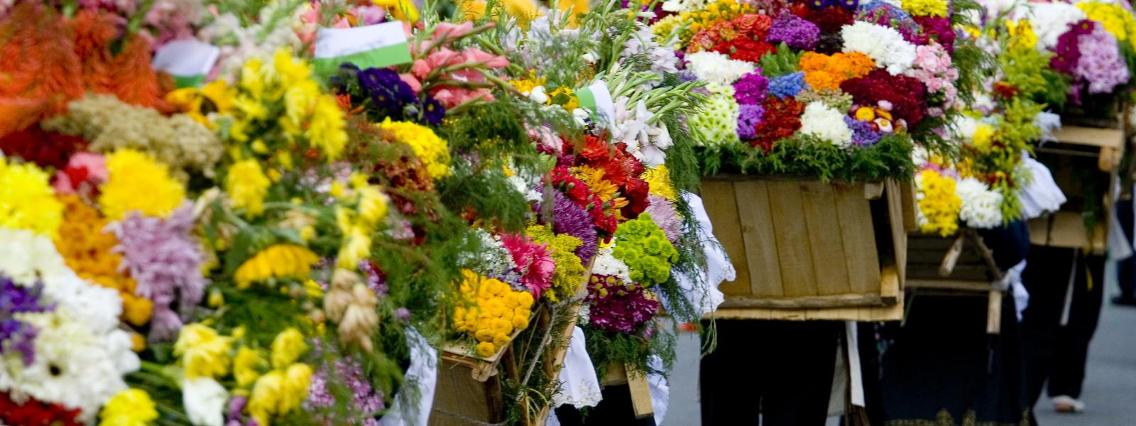Festival of Flowers, Medellin, Colombia