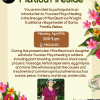 Platica Fireside