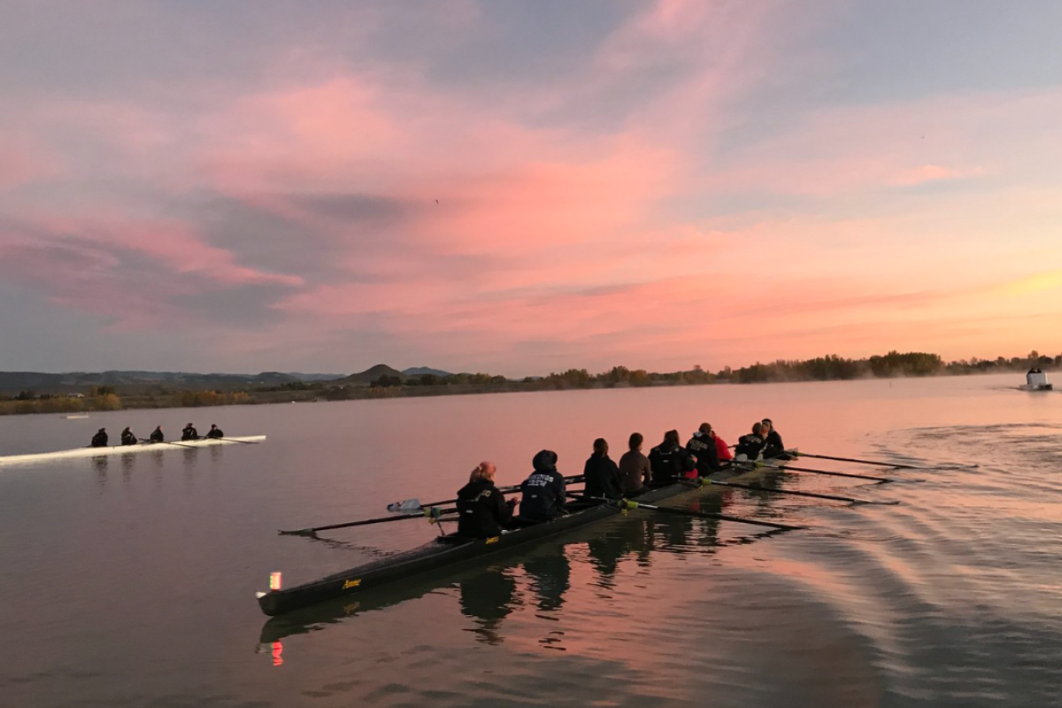Photo of crew teams on water