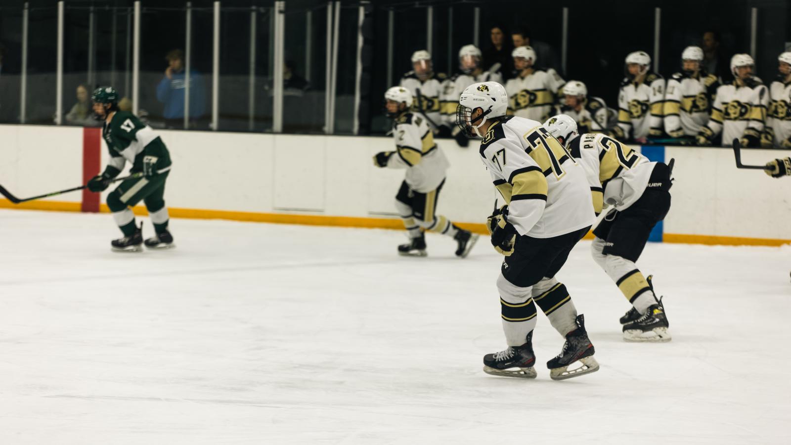 Ice Hockey game