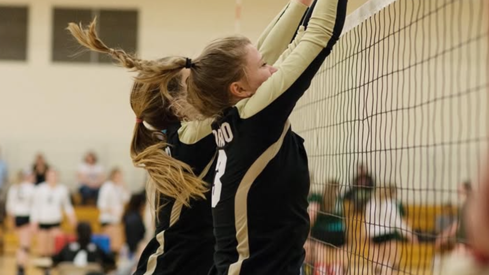 Womens volleyball