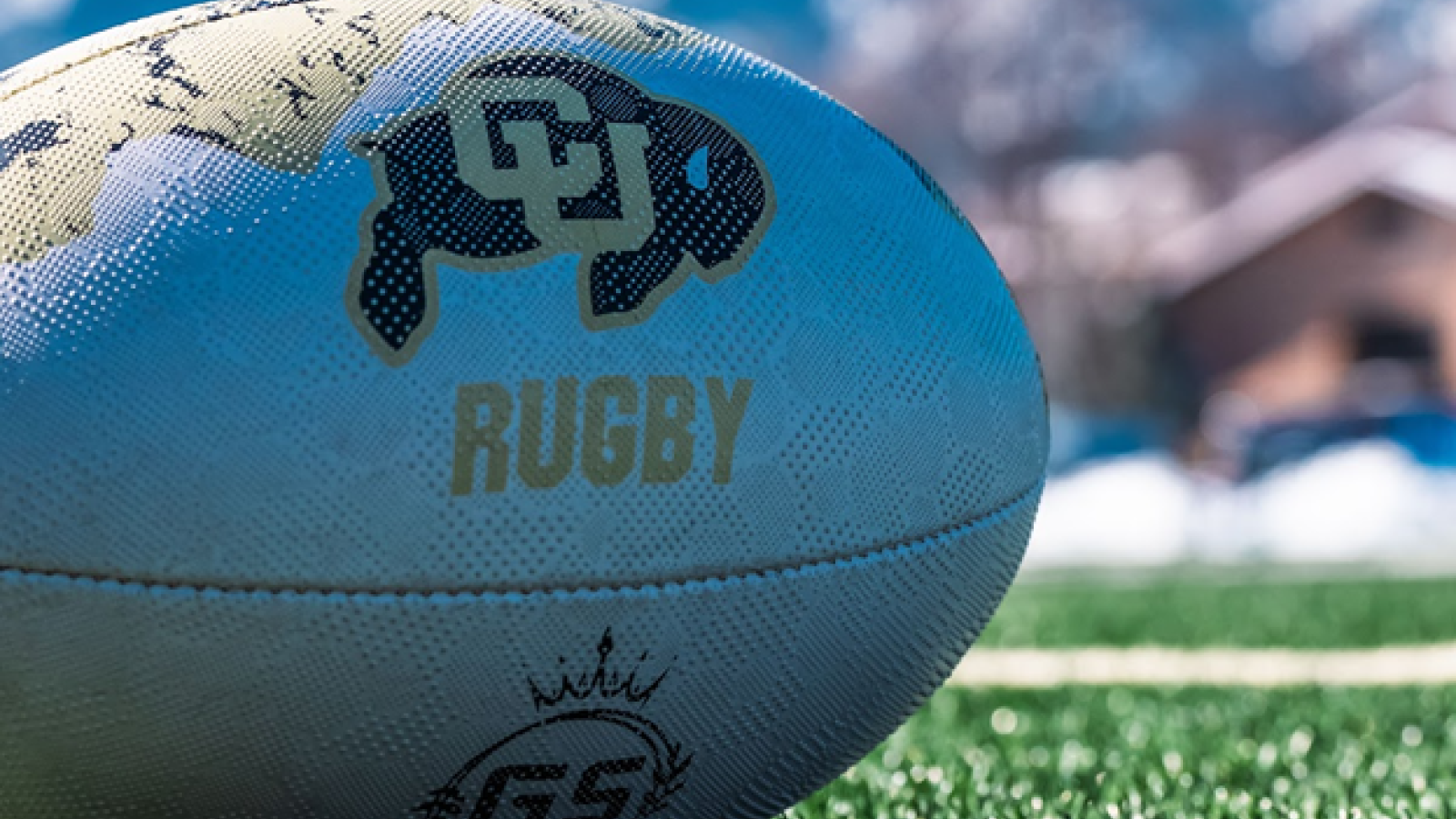 rugby ball on field