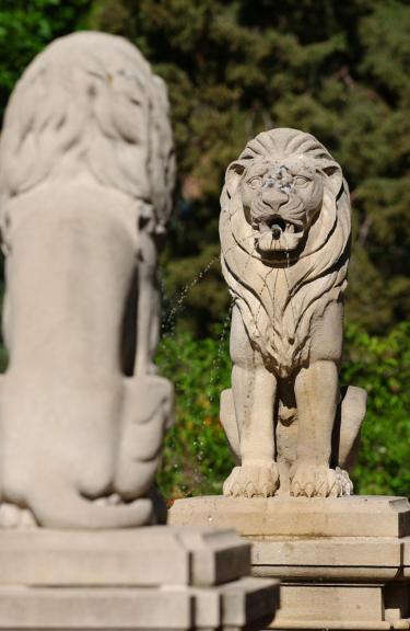 Lion fountain statues outside Sewall Hall