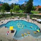 Overhead view of buffalo shaped pool in summer