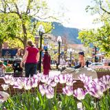 Downtown Boulder