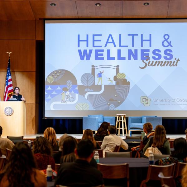 Health & Wellness Summit Logo projected on a screen in an auditorium.