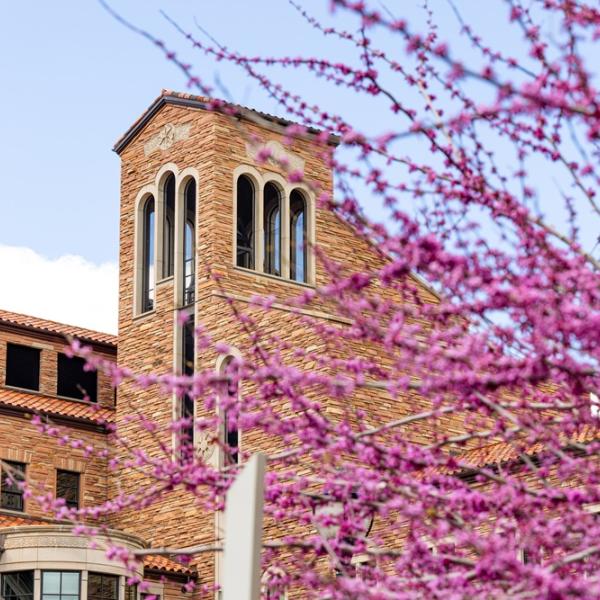 Exterior Shot of CU Building with purple blooms on a tree