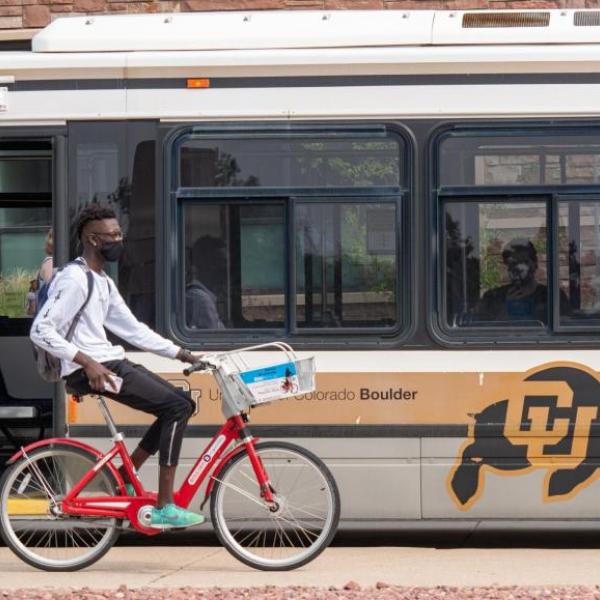 bike and bus