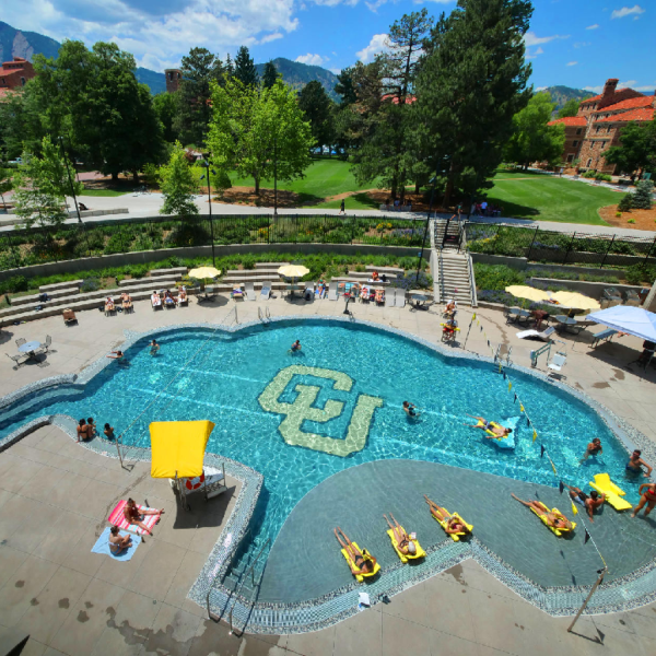 Overhead view of buffalo shaped pool in summer