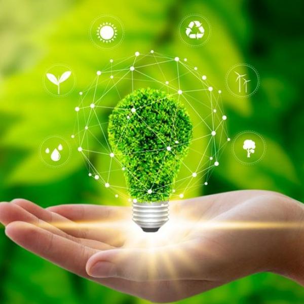 Sustainability
