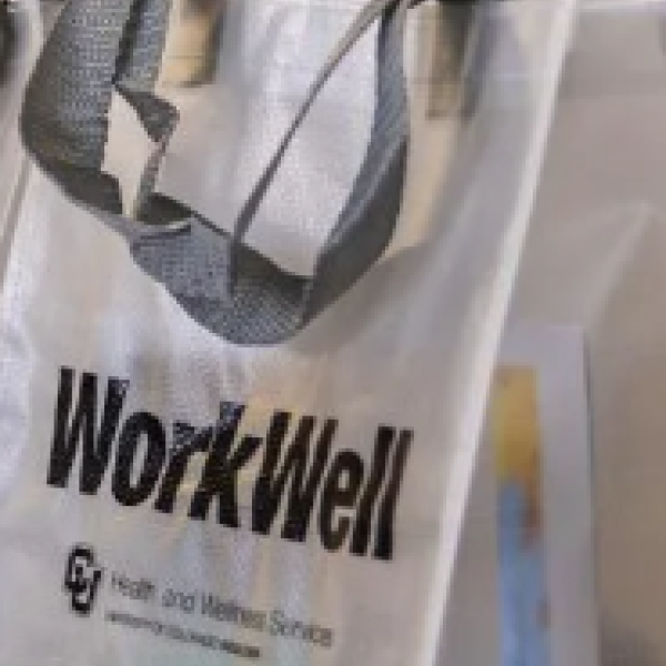 WorkWell bag on desk
