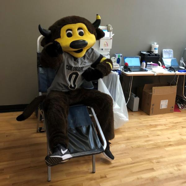 Chip at the Blood Drive