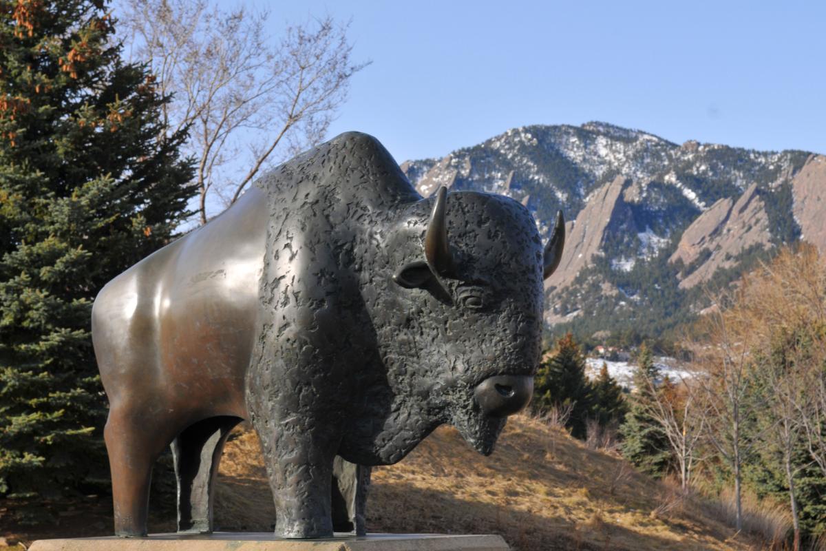 Buffalo Statue