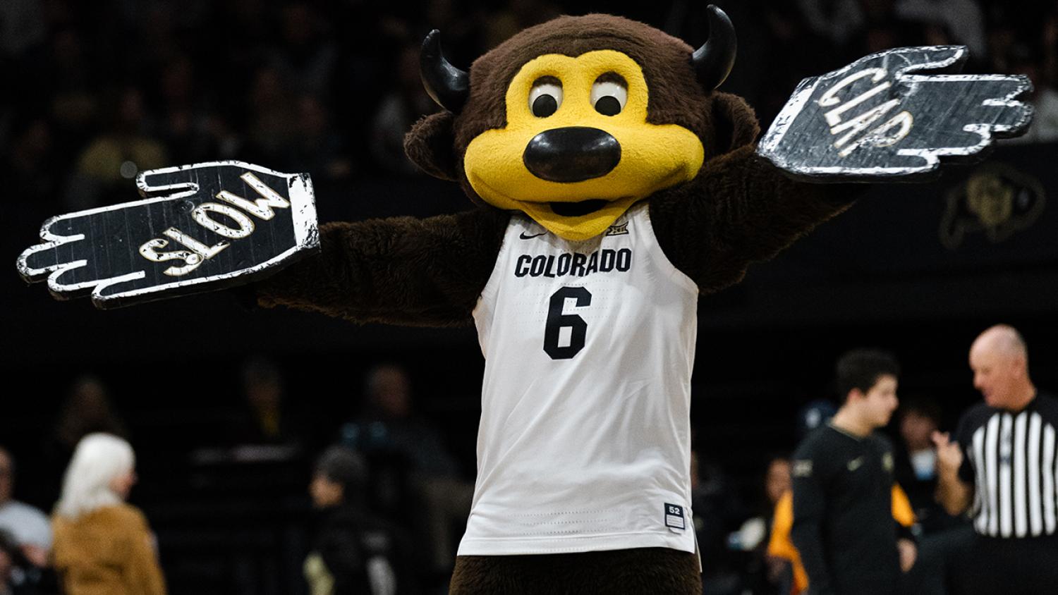Chip, CU Boulder Mascot, Cheering on fans