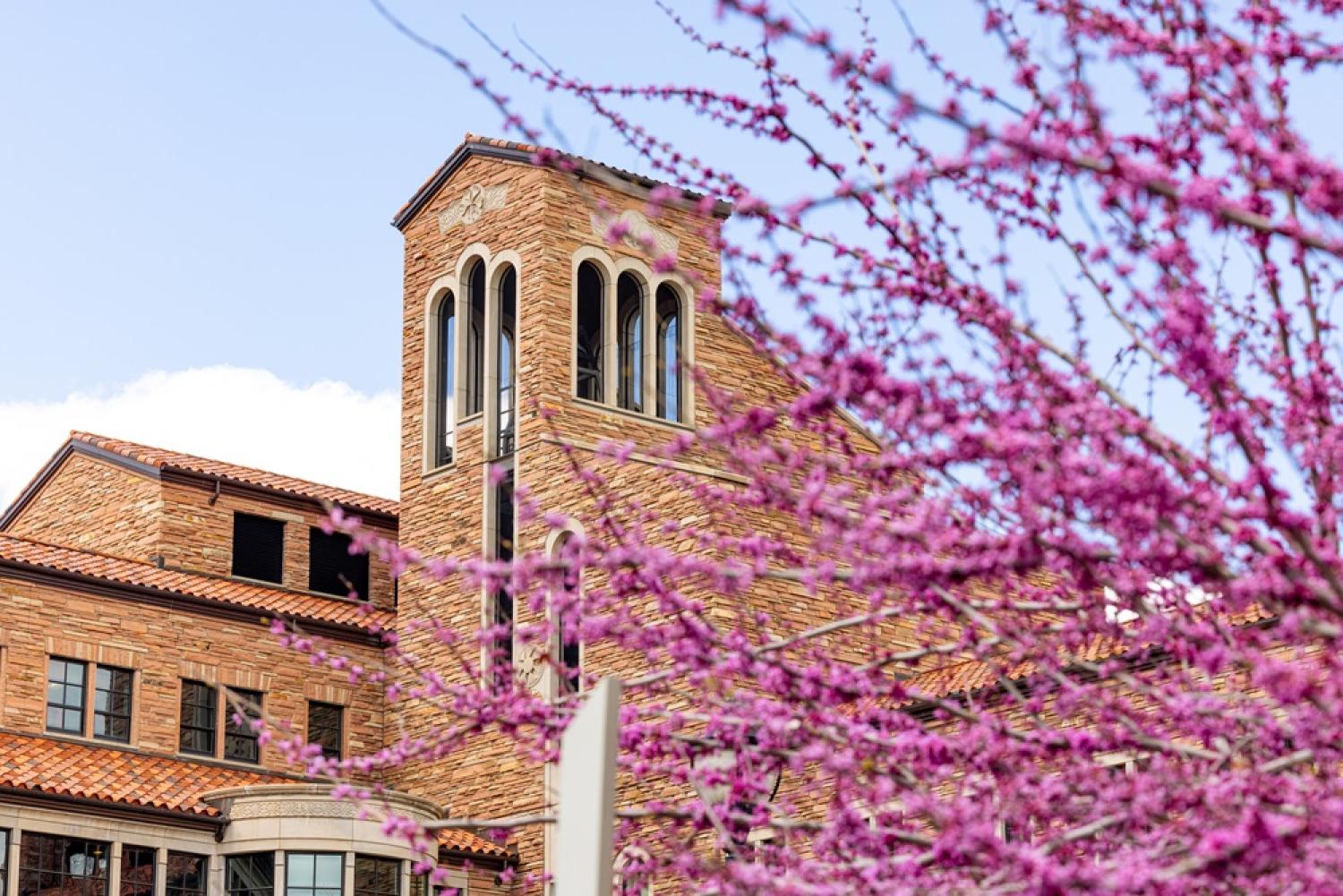 Exterior Shot of CU Building with purple blooms on a tree
