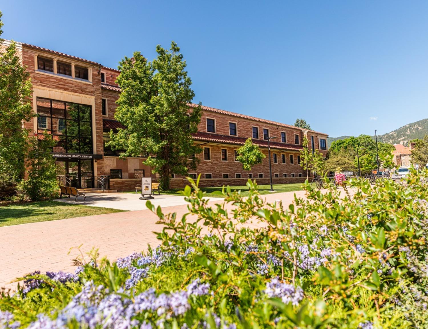Summer picture of campus